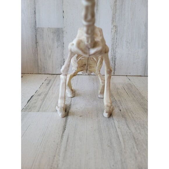 Crazy bonez Seasons cat skeleton Halloween props scary - Picture 6 of 8